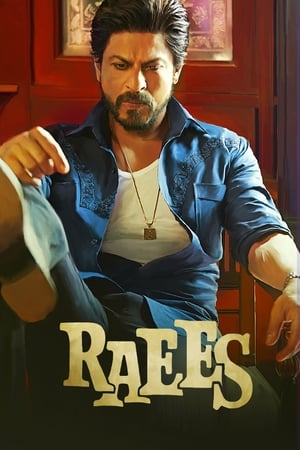 Raees 2017 400MB Full Movie Bluray | 4K Ultra HD