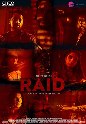 Raid 2019 Hindi Movie | 4K Ultra HD HDRip x264 [650MB]