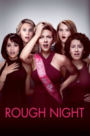 Rough Night (2017) Hindi Dual Audio | 4K Ultra HD BluRay 400MB
