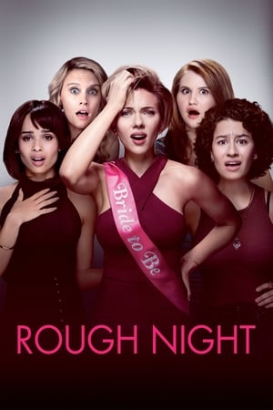 Rough Night (2017) Hindi Dual Audio | 4K Ultra HD BluRay [800MB]