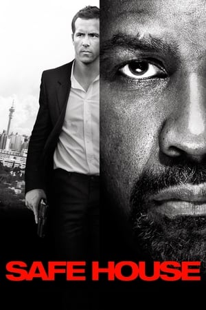 Safe House (2012) Hindi Dual Audio | 4K Ultra HD BluRay [1GB]