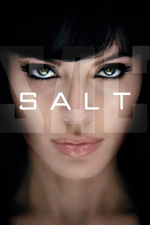 Salt (2010) Hindi Dual Audio | 4K Ultra HD BluRay 300MB