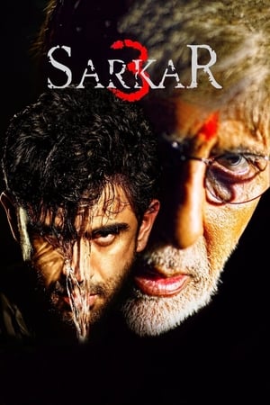 Sarkar 3 2017 350MB Full Movie | 4K Ultra HD DVDRip Download