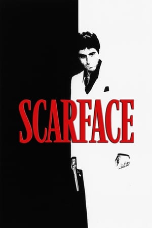 Scarface (1983) Dual Audio Hindi Movie | 4K Ultra HD BluRay - 1.4GB