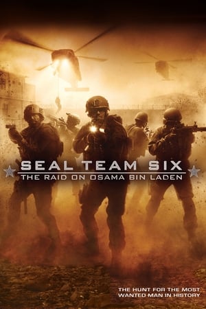 Seal Team Six: The Raid on Osama Bin Laden (2012) Hindi Dual Audio | 4K Ultra HD BluRay 300MB