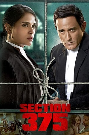 Section 375 (2019) Hindi Movie | 4K Ultra HD HDRip - [360MB]
