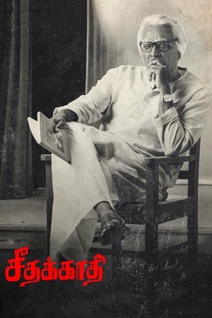 Seethakaathi (2018) Hindi Dubbed | 4K Ultra HD HDRip [1.1GB]