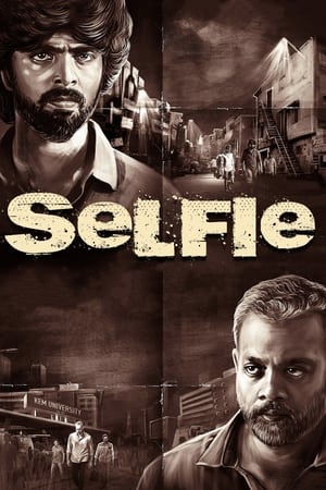 Selfie (2022) [Hindi + Tamil] HDRip | 4K Ultra HD – 480p – 1080p