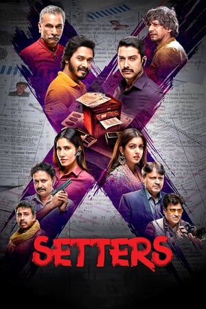 Setters (2019) Hindi Movie | 4K Ultra HD HDRip x264 [1GB]