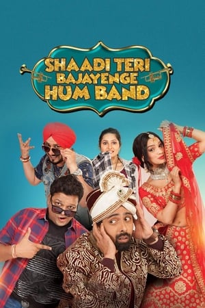 Shaadi Teri Bajayenge Hum Band (2018) Movie | 4K Ultra HD HDRip – [350MB]