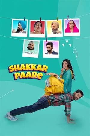 Shakkar Paare 2022 Punjabi Movie Pre-DVDRip | 4K Ultra HD – 480p