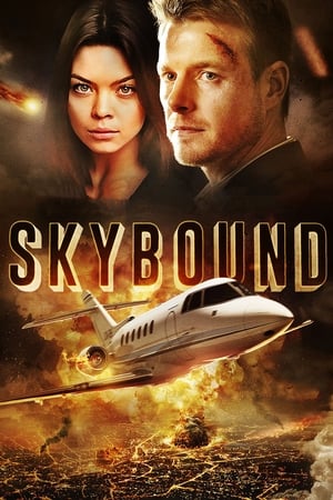 Skybound (2017) Hindi Dual Audio | 4K Ultra HD BluRay [1.2GB]