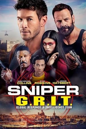 Sniper GRIT Global Response and Intelligence Team 2023 Hindi Dual Audio HDRip | 4K Ultra HD – 480p