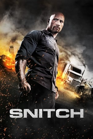 Snitch (2013) Hindi Dual Audio | 4K Ultra HD BluRay [930MB]