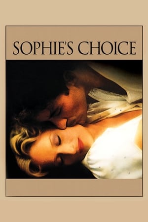 Sophie's Choice (1982) Dual Audio Hindi Full Movie | 4K Ultra HD BluRay - 1.1GB