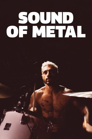 Sound of Metal (2019) Hindi Dual Audio HDRip | 4K Ultra HD – 480p
