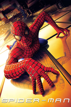 Spider-Man (2002) Hindi Dual Audio | 4K Ultra HD BluRay [820MB]