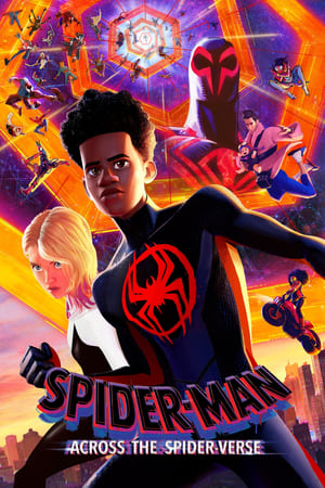 Spider-Man: Across the Spider-Verse 2023 Hindi (ORG) HDRip | 4K Ultra HD | 480p