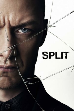 Split (2016) Hindi Dual Audio | 4K Ultra HD BluRay 400MB