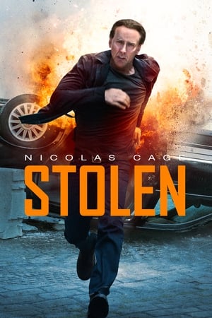 Stolen (2012) Hindi Dual Audio | 4K Ultra HD BluRay 300MB ESubs