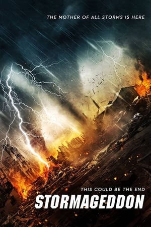 Stormageddon (2015) Hindi Dual Audio | 4K Ultra HD BluRay 290MB