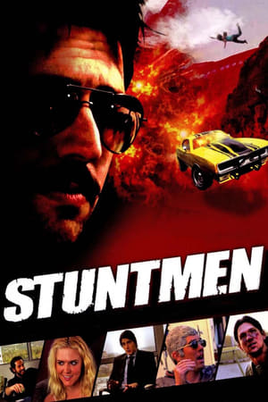Stuntmen 2009 Hindi Dual Audio | 4K Ultra HD WebRip [800MB]