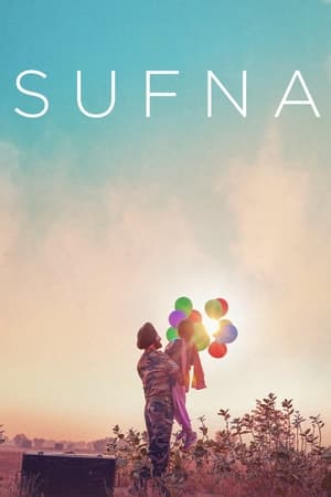 Sufna (2020) Hindi Movie | 4K Ultra HD HDRip x264 [1GB]