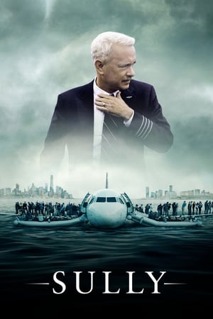 Sully (2016) Hindi (Unofficial Dubbed) Dual Audio BluRay [ | 4K Ultra HD] [720p]