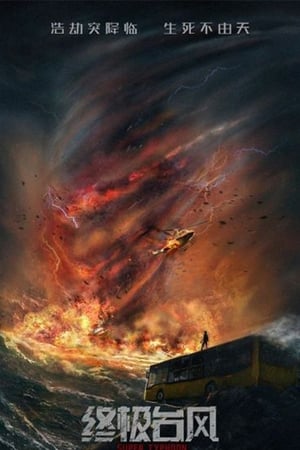 Super Typhoon 2020 Hindi Dual Audio HDRip | 4K Ultra HD – 480p