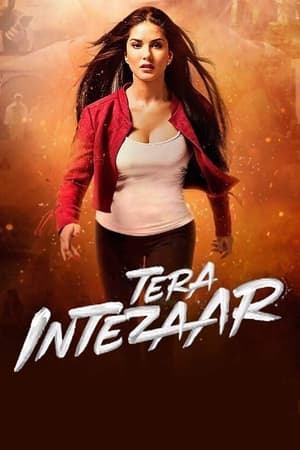 Tera Intezaar 2017 Movie | 4K Ultra HD HDRip - [300MB]
