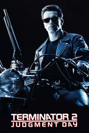 Terminator 2 (1991) Hindi Dual Audio | 4K Ultra HD BluRay [950MB]