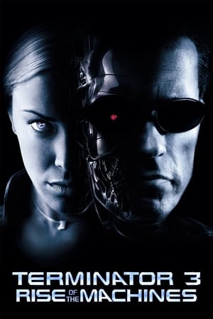 Terminator 3: Rise of the Machines (2003) Hindi Dual Audio | 4K Ultra HD BluRay 350MB