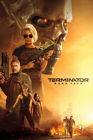 Terminator: Dark Fate (2019) Hindi (Org) Dual Audio | 4K Ultra HD BluRay 400MB