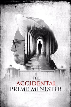 The Accidental Prime Minister (2019) Hindi Movie | 4K Ultra HD HDRip - [400MB]