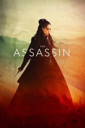 The Assassin 2015 Hindi Dual Audio | 4K Ultra HD BluRay 300MB