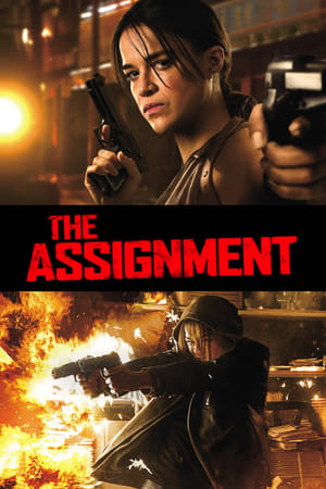 The Assignment (2016) Hindi Dual Audio | 4K Ultra HD BluRay 300MB