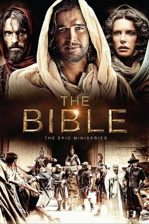 The Bible 2013 S01E05 (Hindi) Dubbed | 4K Ultra HD BRRip [250MB]
