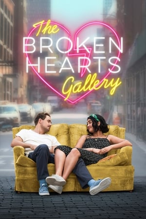 The Broken Hearts Gallery (2020) Hindi Dual Audio | 4K Ultra HD Web-DL [1GB]