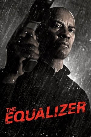 The Equalizer (2014) Hindi Dual Audio BluRay | 4K Ultra HD – 480p