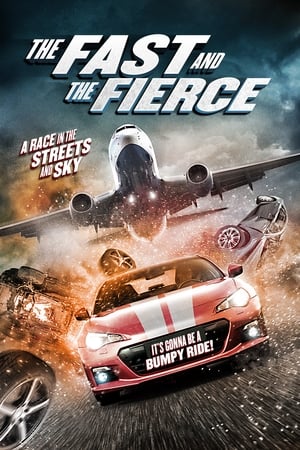 The Fast and the Fierce 2017 Hindi Dual Audio | 4K Ultra HD BluRay 300MB
