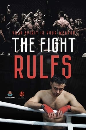 The Fight Rules 2017 Hindi Dual Audio | 4K Ultra HD WebRip 260MB