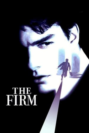 The Firm (1993) Hindi Dual Audio | 4K Ultra HD BluRay [980MB]