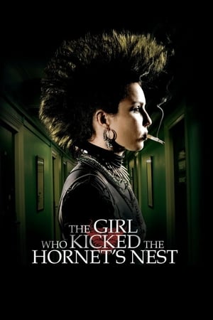The Girl Who Kicked the Hornet's Nest (2009) Hindi Dual Audio | 4K Ultra HD BluRay 450MB