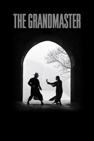 The Grandmaster (2013) Hindi Dual Audio | 4K Ultra HD BluRay 350MB ESubs