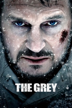 The Grey 2011 Hindi Dual Audio | 4K Ultra HD BluRay 360MB