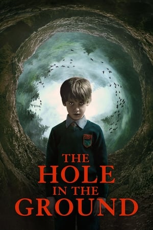 The Hole in the Ground 2019 Hindi Dual Audio | 4K Ultra HD BluRay 300MB