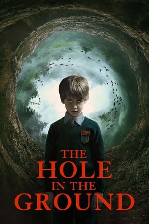 The Hole in the Ground 2019 Hindi Dual Audio | 4K Ultra HD BluRay [830MB]