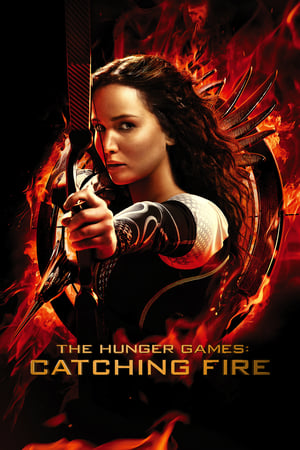 The Hunger Games Catching Fire 2013 Hindi Dual Audio | 4K Ultra HD BluRay 480MB