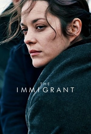 The Immigrant (2013) Hindi Dual Audio | 4K Ultra HD BluRay 300MB