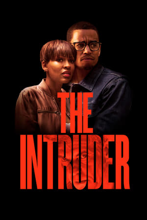 The Intruder (2019) Hindi Dual Audio | 4K Ultra HD HDRip 350MB